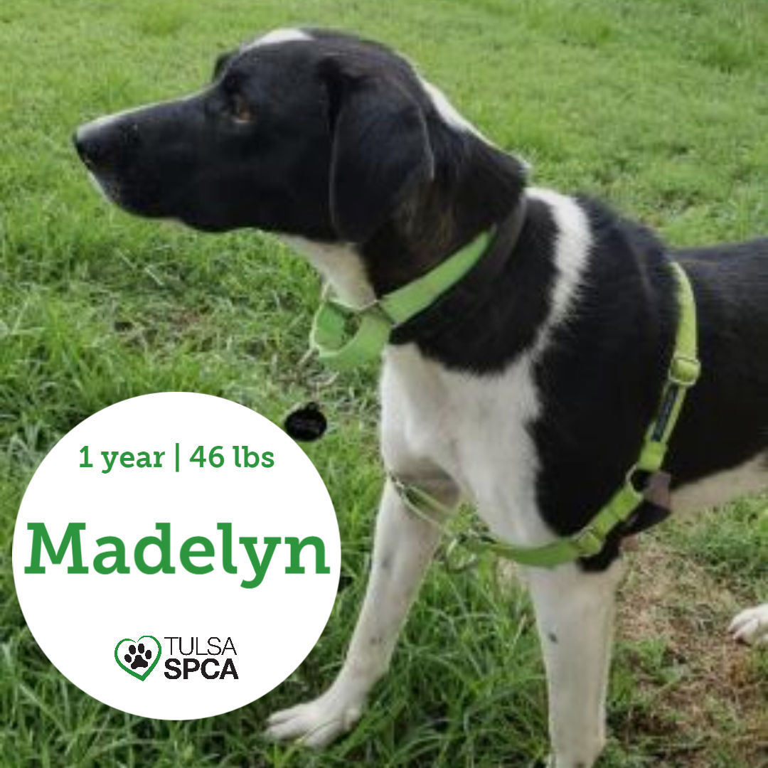 Madelyn
